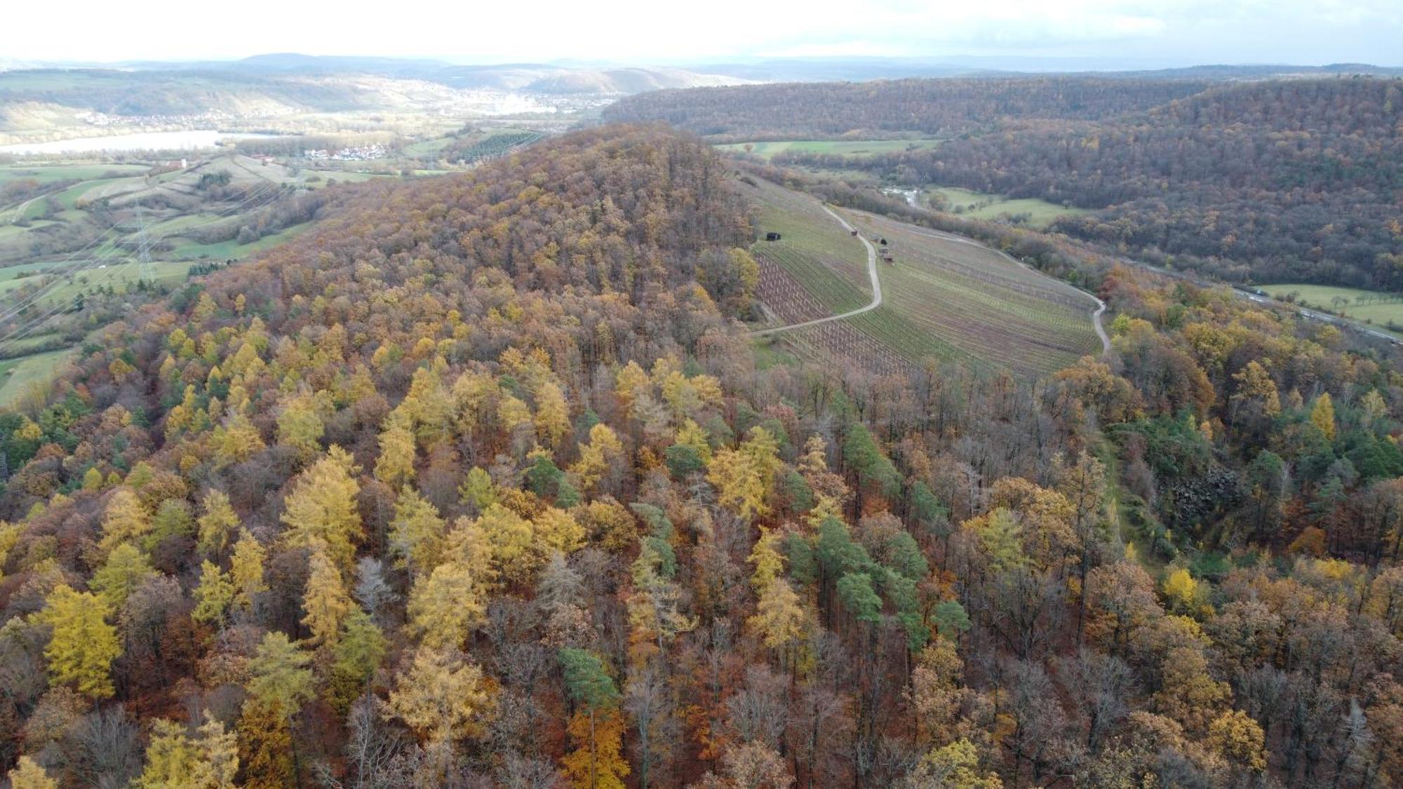 Pausenhof Zweite-Heimat Apartment Rauhenebrach ภายนอก รูปภาพ